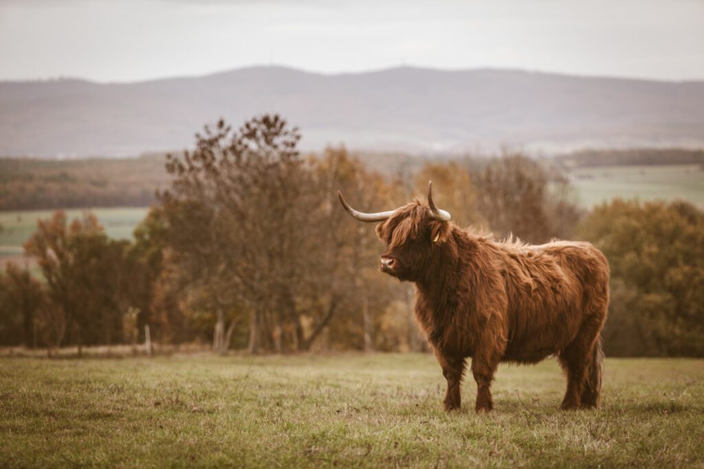 Erdung und Stabilität